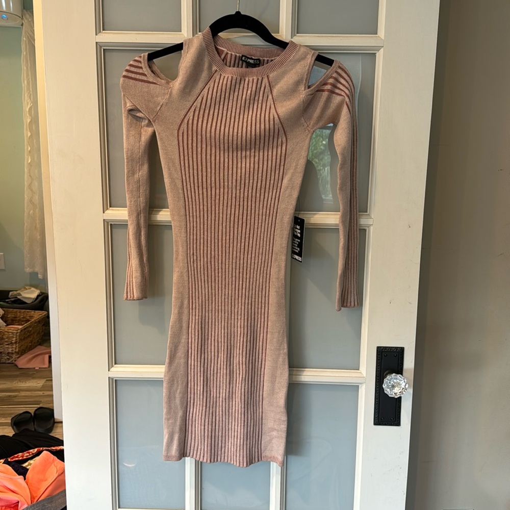 Express fitted long Sleeve dress